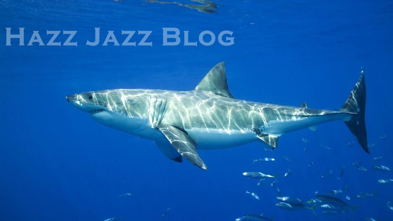 20 Sea Creatures More Dangerous Than Sharks Best Life