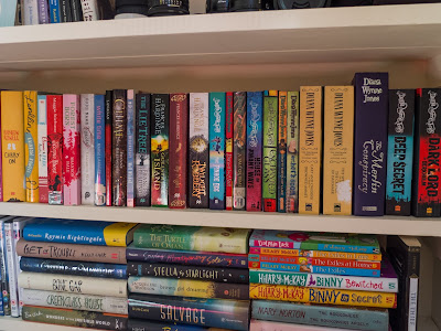 Shelf with books by Diana Wynne Jones, Frances Hardinge, Franny Billingsley, Margo Lanagan, Shannon Hale, Maggie Stiefvater, Rainbow Rowell