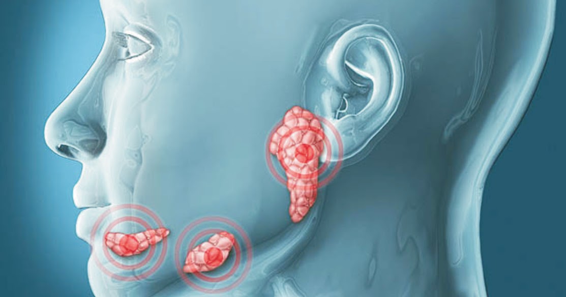 Function of Ptyalin Enzymes in Carbohydrate Digestion Domain Biologi
