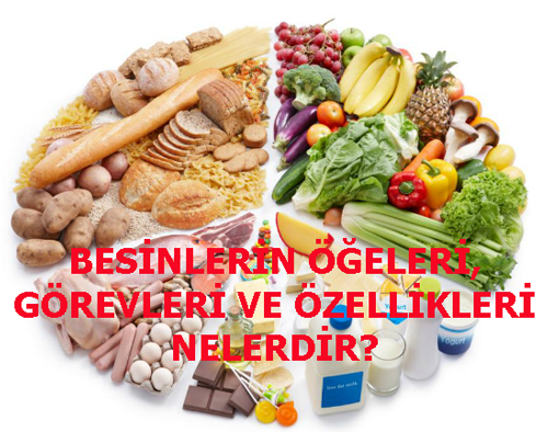 BESİNLERİN ÖĞELERİ, GÖREVLERİ VE ÖZELLİKLERİ NELERDİR?