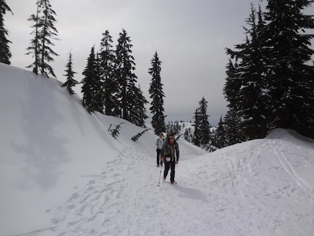 hiking mt. seymour