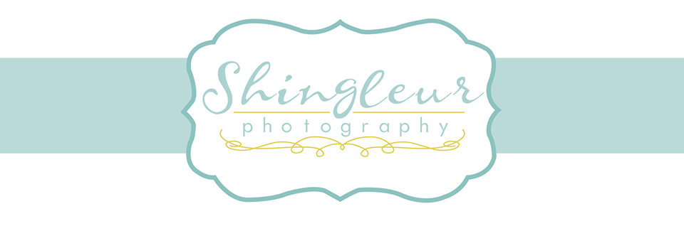 Shingleur Photography