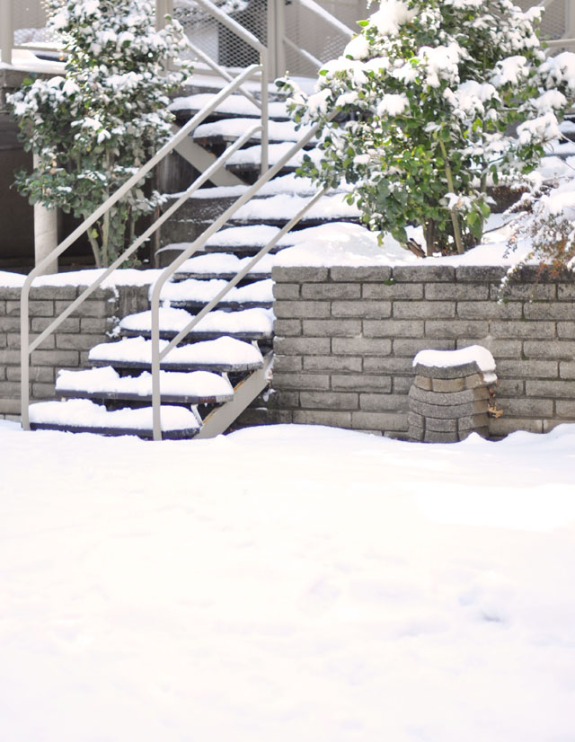 snow covered steps