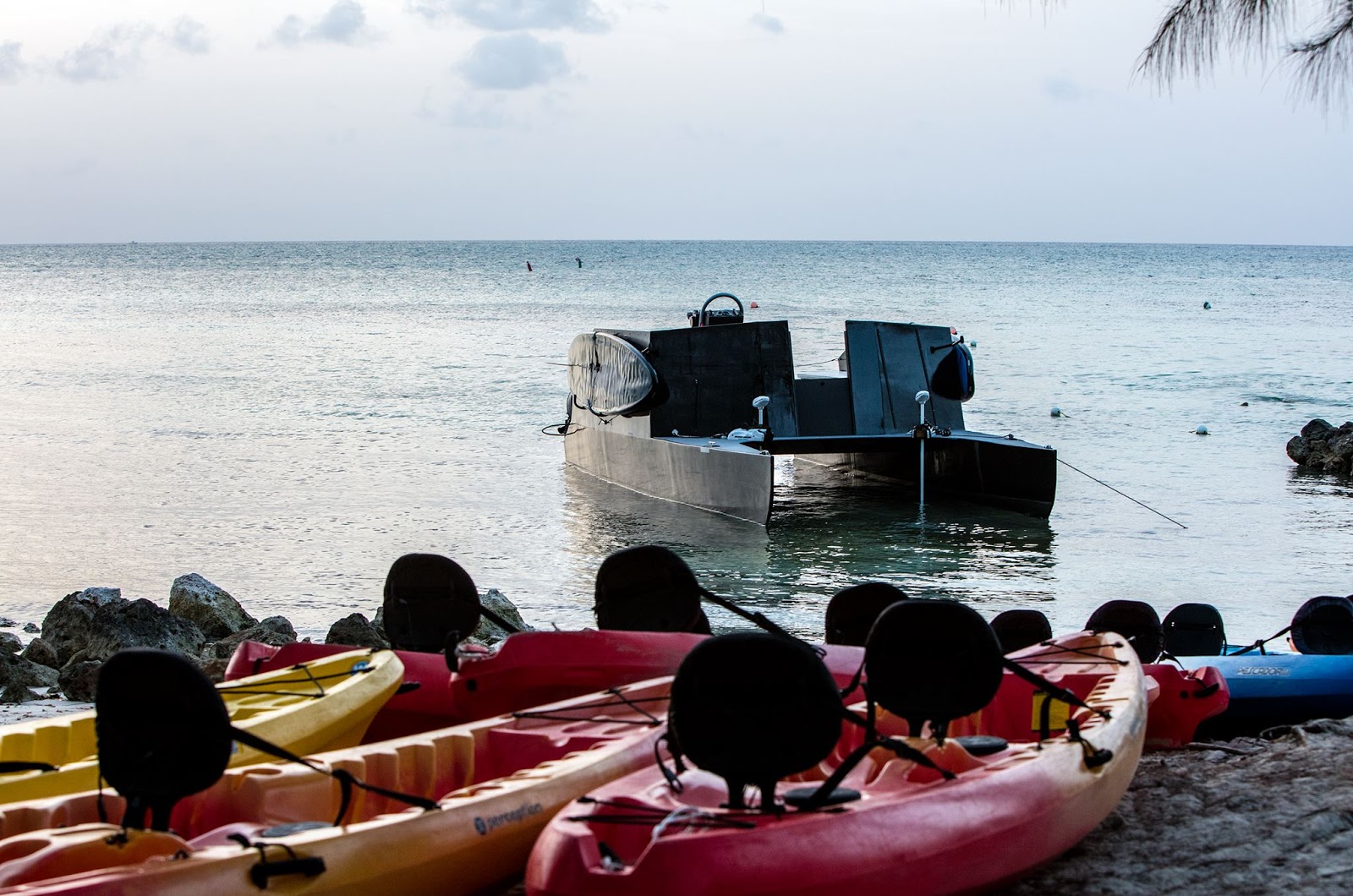 Bio Bay A Plane Favorite!