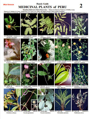 Plantas Medicinales del Peru / Field Museum