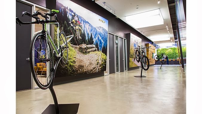 cannondale corporate office