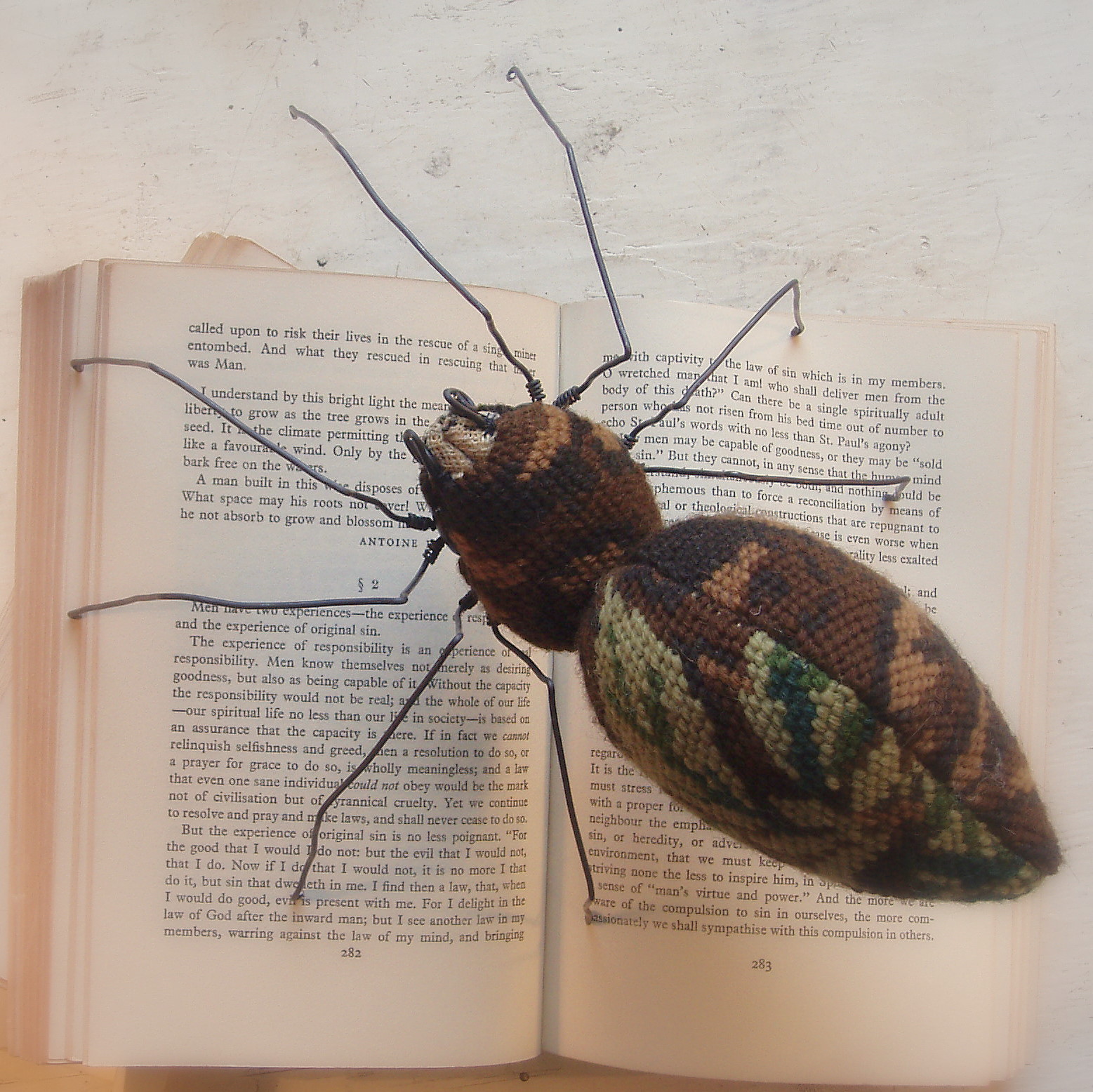 Tapestry spiders.........