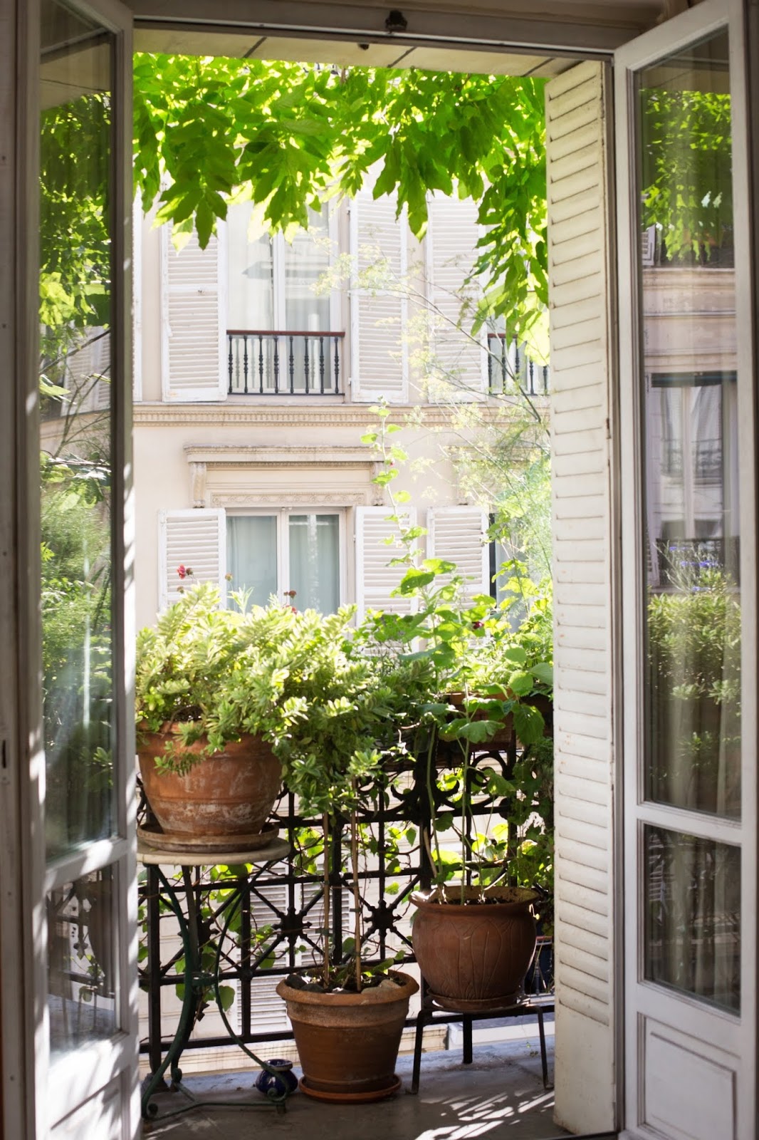 Un jardin sur un balcon haussmannien