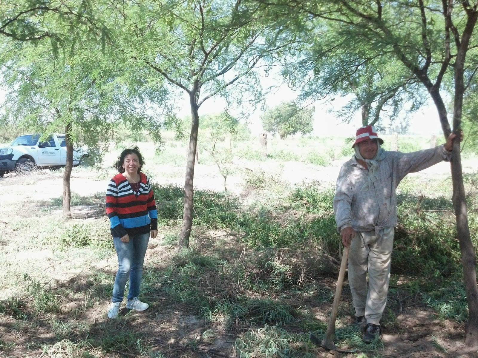 PROGRAMA NACIONAL DEL ALGARROBO: Avances del Aprovechamiento Integral