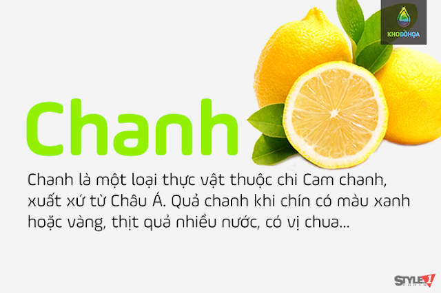 Font Việt hóa - Ample Soft