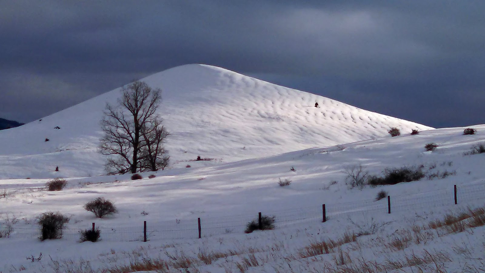 See Highland County Trimble's Knob