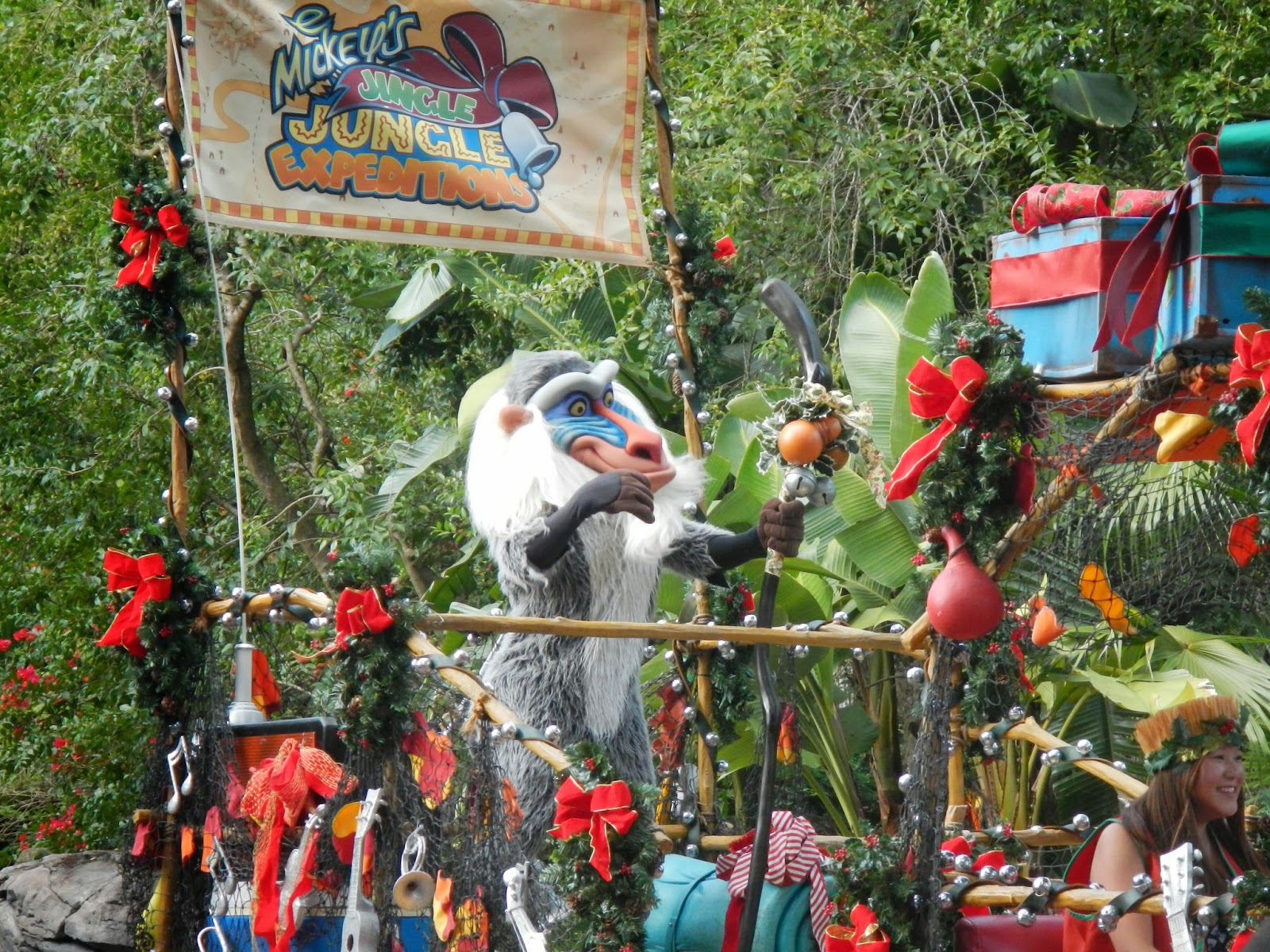 And So I Give Thanks......... Jingle Jungle Parade Animal Kingdom