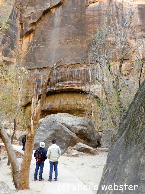 The multi colored wall of the canyon where water has carved out parts of it.