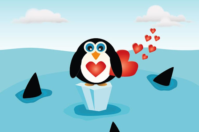 Hewan yang Setia Pada Pasangannya