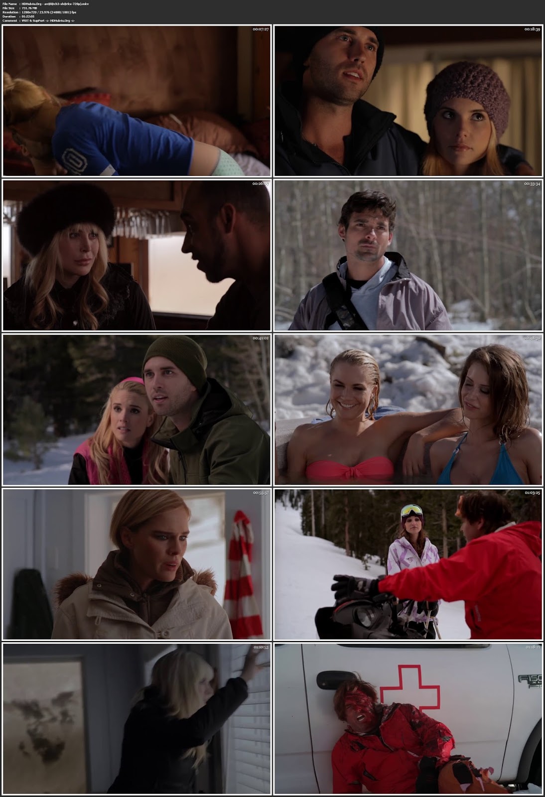 Avalanche Sharks 2014 Hindi Dual Audio 480p BluRay Esubs 280Mb Download