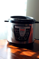 pressure chicken cooker rice vegetables using electrical power cooking
