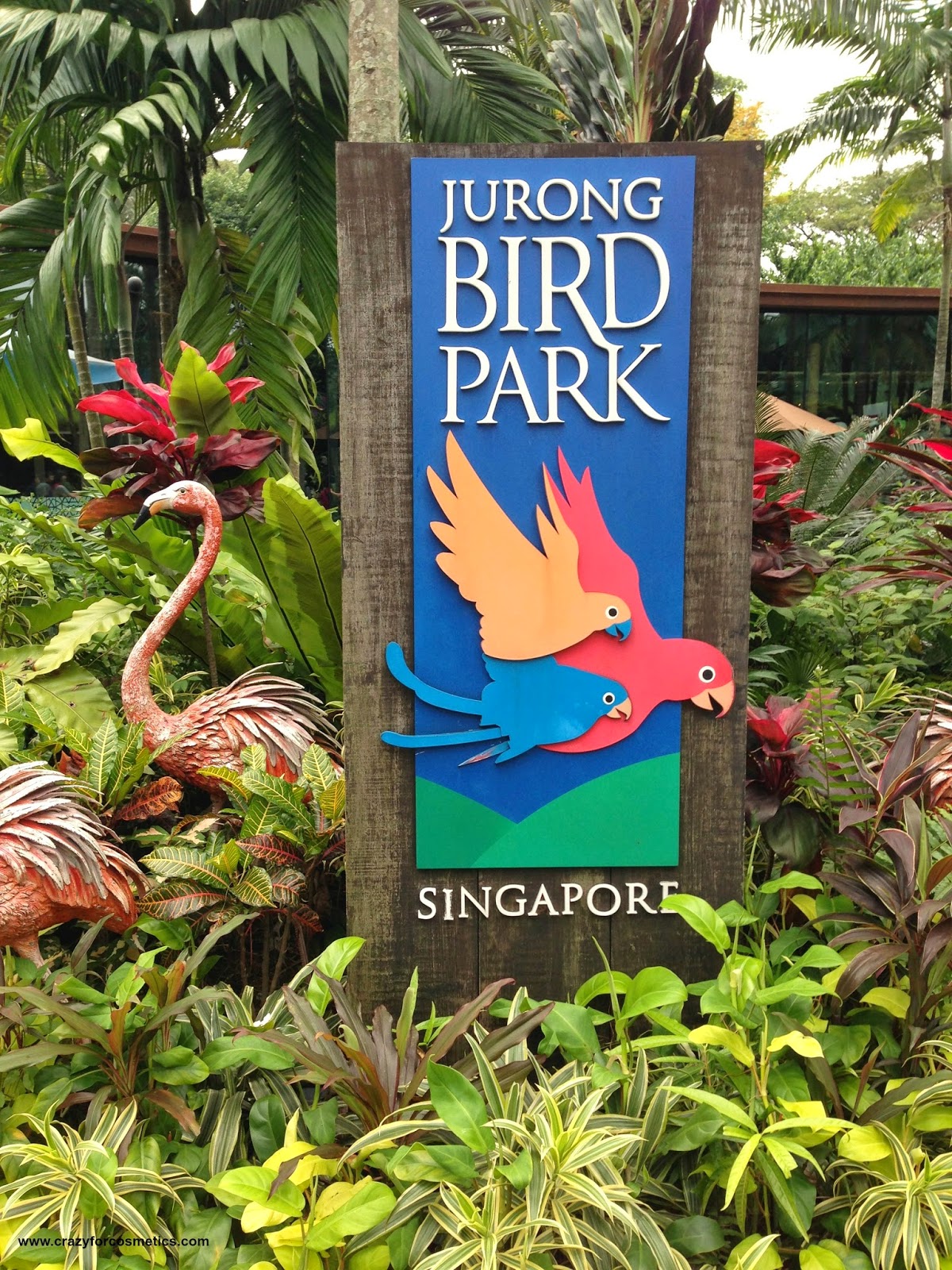 Jurong Bird Park- Jurong Bird Park tickets- jurong bird park timings- jurong bird park review- jurong bird park in Singapore- jurong bird park nearest mrt- jurong bird park shows- Travel- Singapore