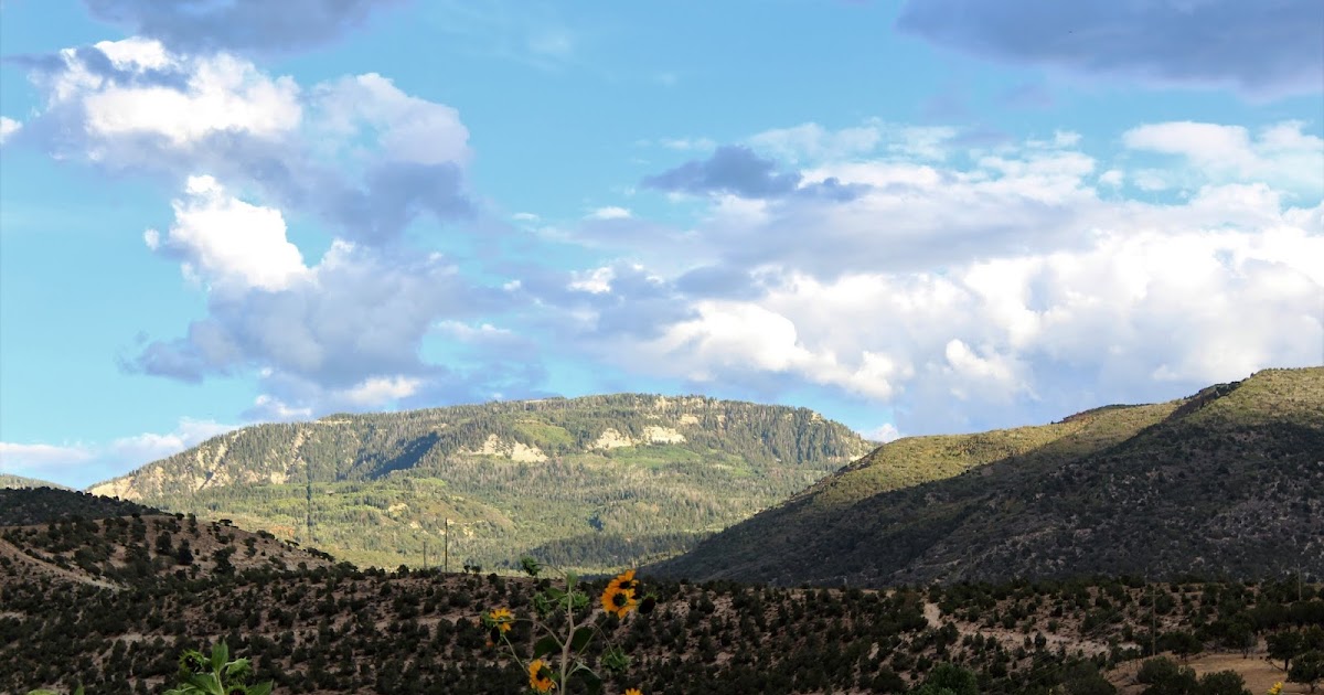 Mill Hill Meadow Hours