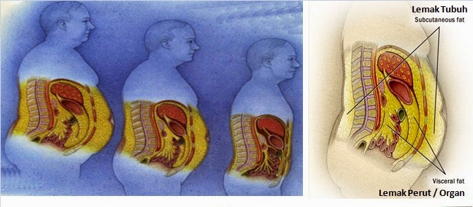 Timbangan TANITA, tidak hanya timbang Berat Badan ...