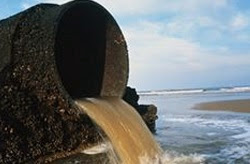 Douver(Beta): Pencemaran Air Laut akibat Logam Berat