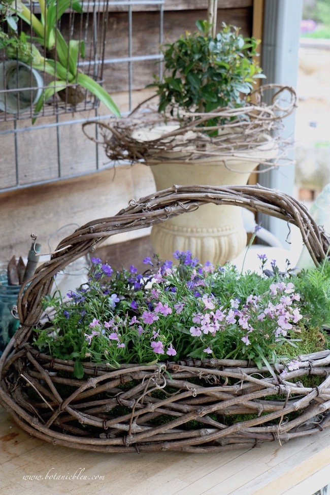 spring potting bench flowers in rustic basket