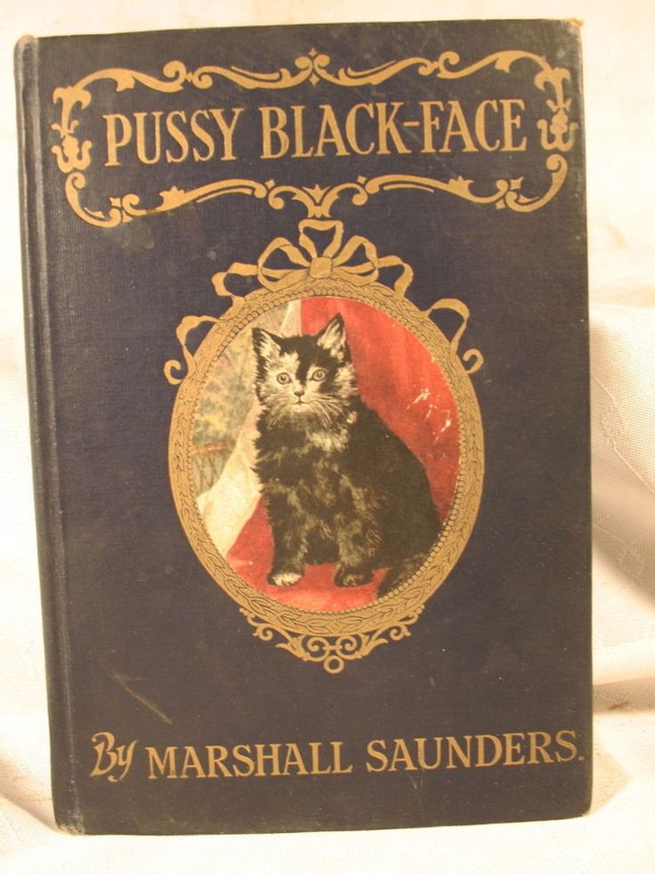 Black Face And Pussy - Stories I Found in the Closet: P - Pussy Black-Face and ...