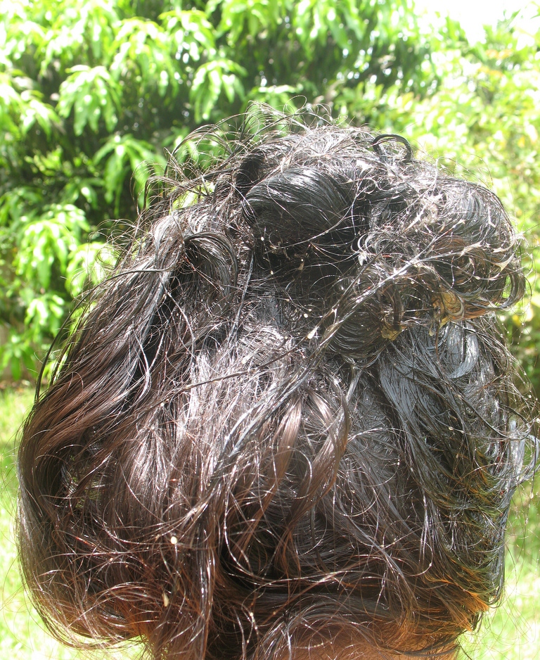 The Gilded Lily Natural Vitamin E Hair Mask