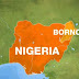 Boko Haram Overpower Troops, Kills 30 Soldiers in Borno 