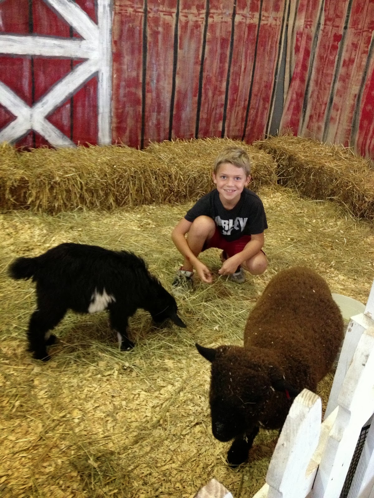 So This Is Country Life Back To The Simple Way Of Life