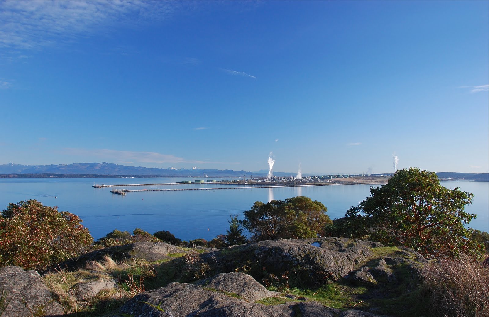 Travels with L (and sometimes Z & F) Year's End in Anacortes, WA