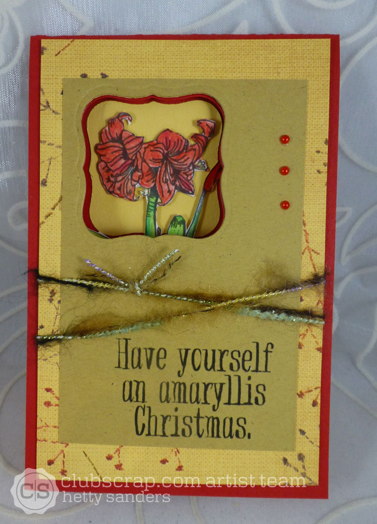 *CraftChaos*: Amaryllis Christmas