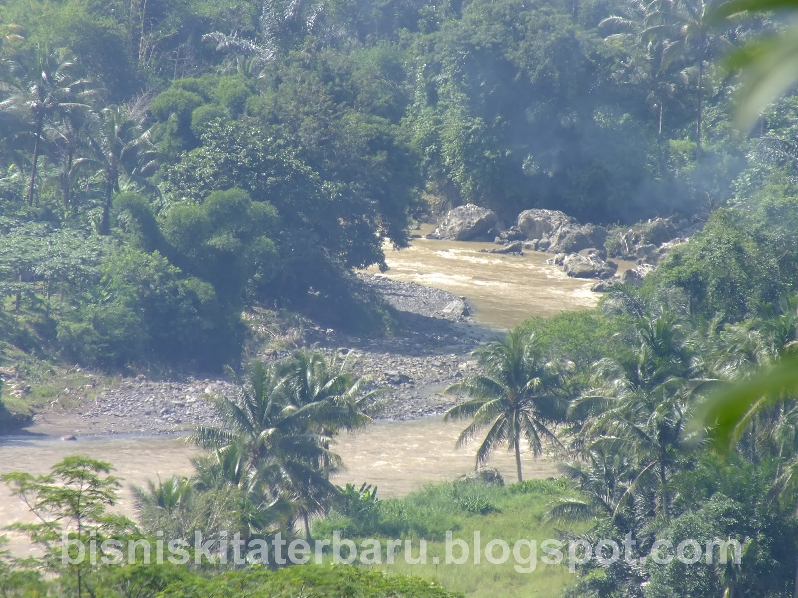 Koleksi Gambar Hasil Fotografer Pemula Berikut Tentang Alam Binatang Pemandangan