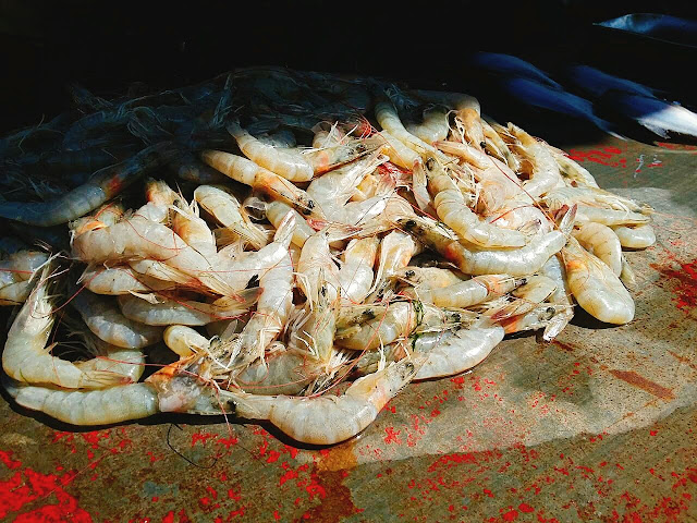 Matheran market prawns
