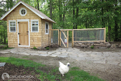 chicken coop tour chick virtual walkway another check chickens
