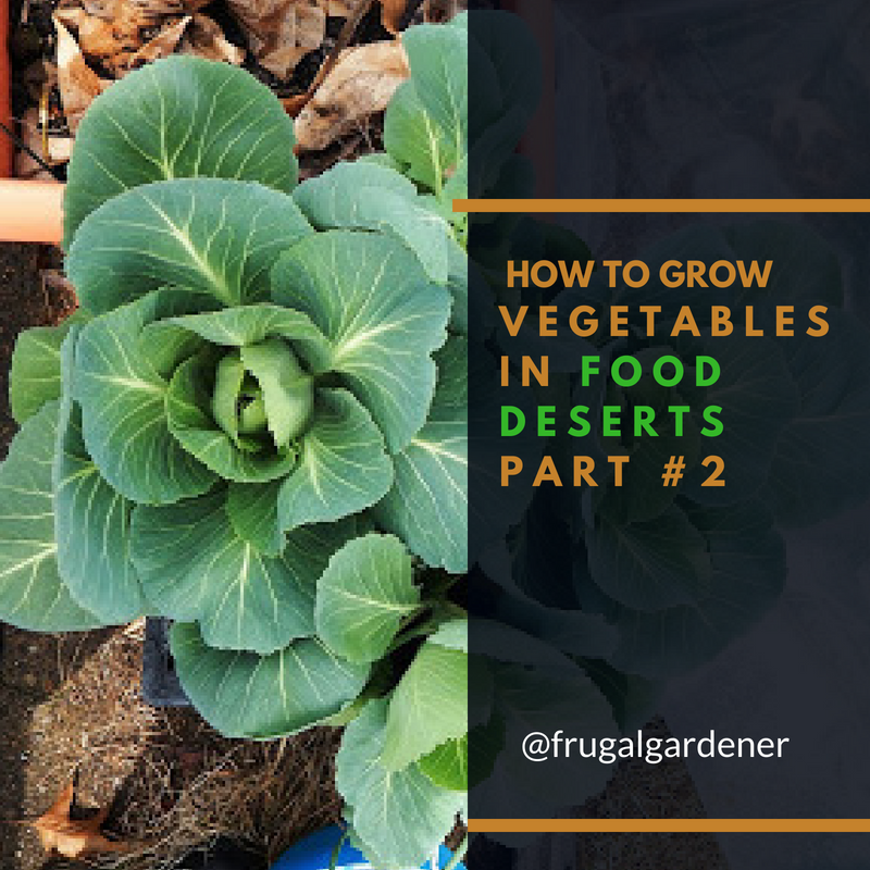 How to Grow Vegetables in Food Deserts Part 2