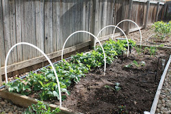garden diy hoops projects netting sided stretched velcro strips attached come then double them which