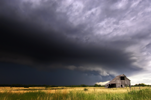 If you don't want to win, then don't come in our barns.