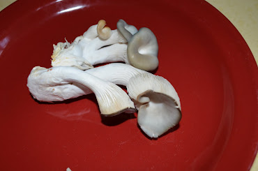 Oyster Mushrooms from Northcutt Ranch