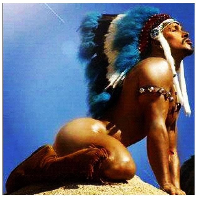 Native Americans Gay 78