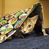 Seamless Piecing How To Make A Cat S Cradle Quilt Block Without A