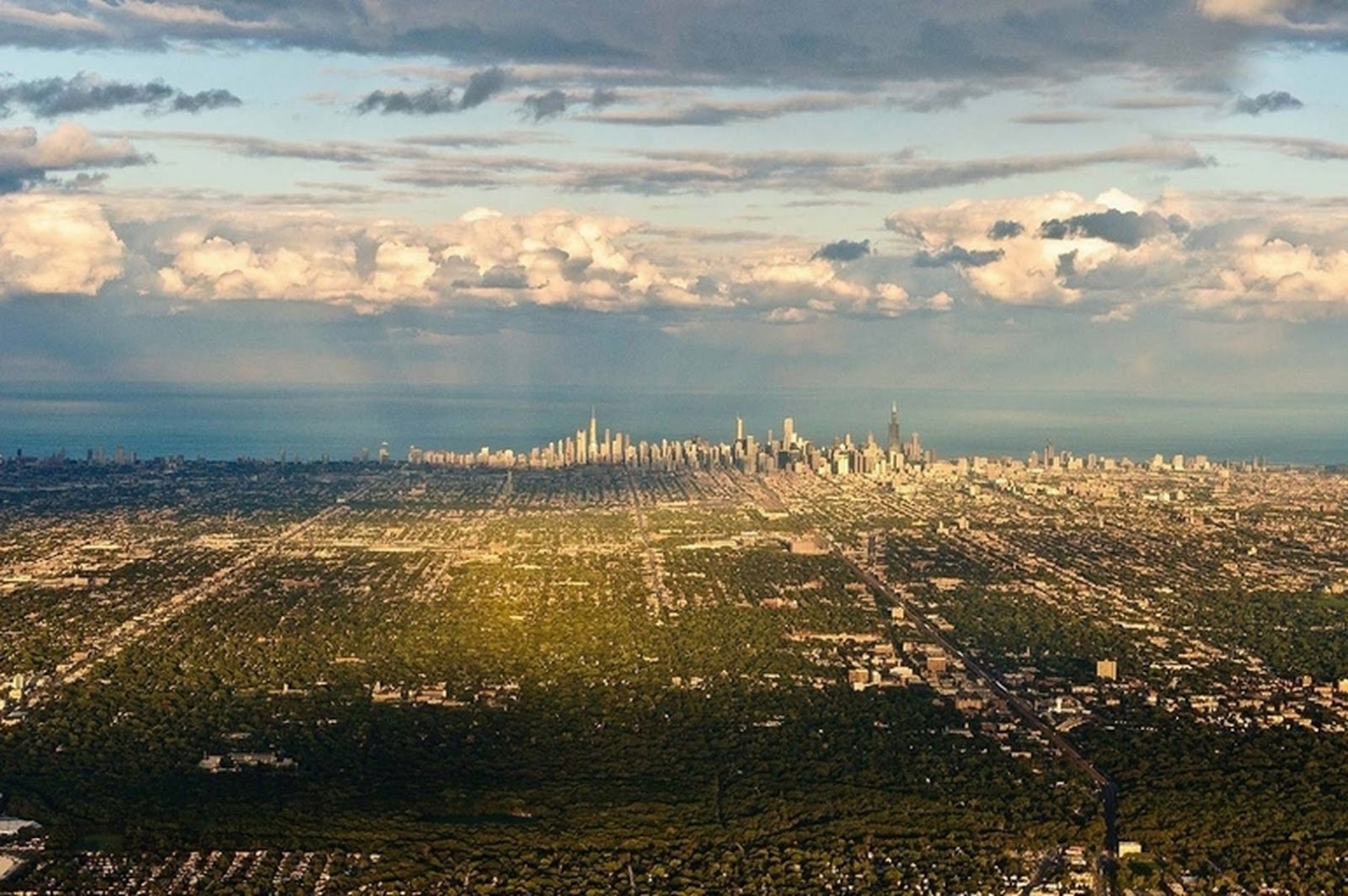 chicago ABD rooteto