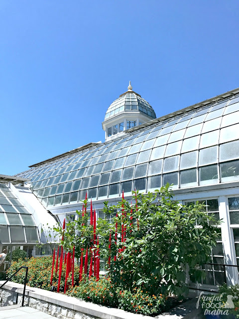 Beautiful blooms, fluttering butterflies, & colorful glass sculptures await you at the Franklin Park Conservatory in Columbus, Ohio.