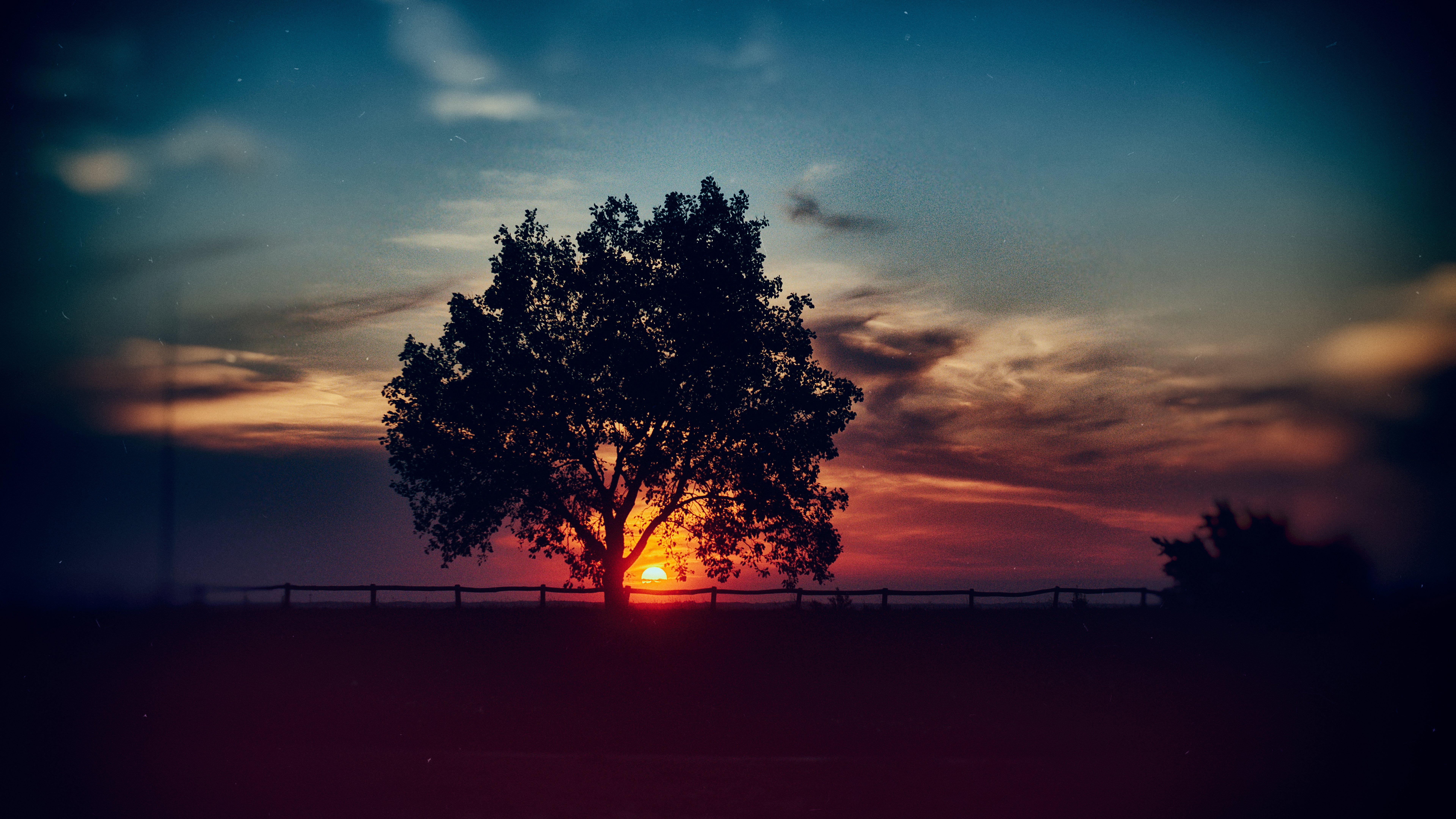 Sunset Scenery Tree Landscape Nature 8K Wallpaper #101