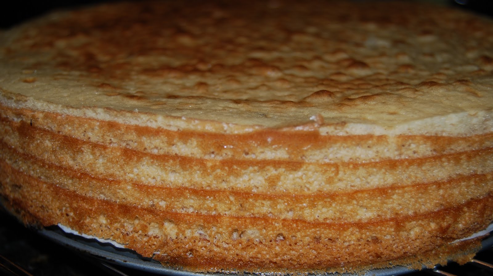 My Little 6 Layer Baumkuchen Torte