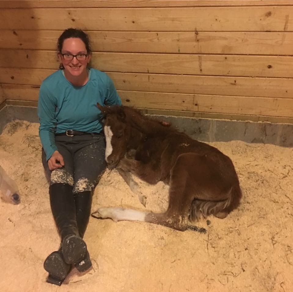 White Horse Farm Loss