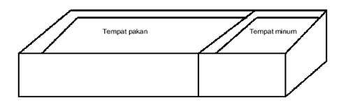 Pakan Sapi Pakan Sapi