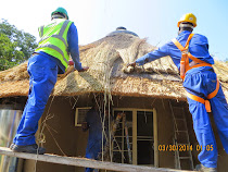 Thatching roof, beehive cabins, Olifants Camp, Kruger NP, South Africa