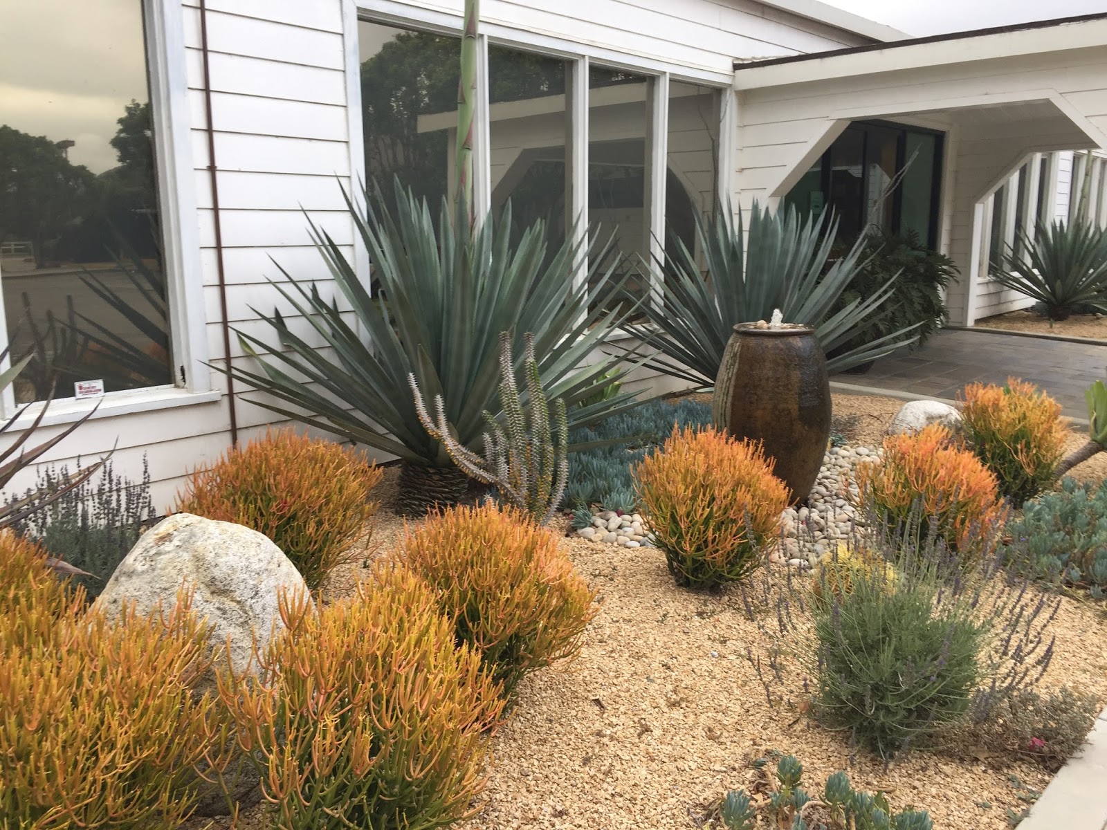 Within My Means LA Equestrian Center