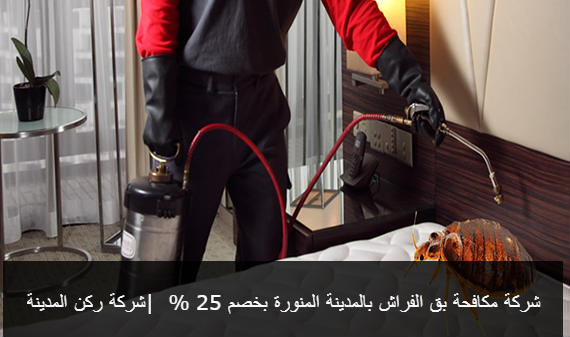 شركة مكافحه حشرات بالمدينة خصم 25% ركن المدينة_0542544939 Bedbug-control-services