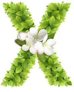 Abecedario con Hojas Verdes y Flores Blancas. Alphabet with Green Leaves and White Flowers.